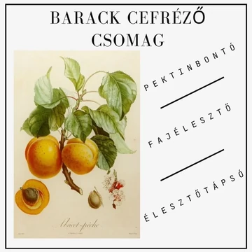 Barack cefre készítő alapcsomag