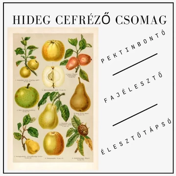 hideg cefrézés