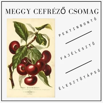 Meggy cefre készítő alapcsomag