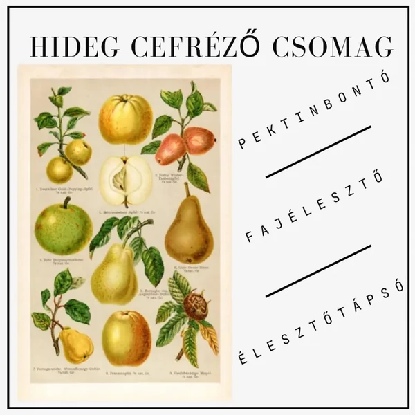 hideg cefrézés