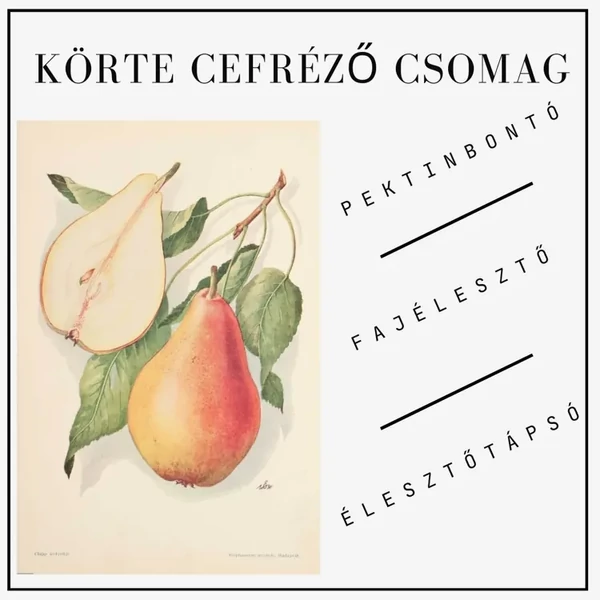 Körte cefre készítő alapcsomag