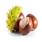 Aroma Gesztenye 20ml